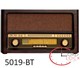 رادیو آنتیک ۵۰۱۹B